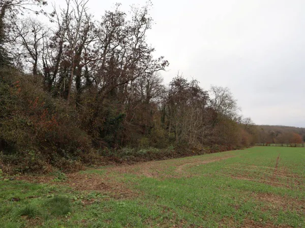 Propriété de loisirs 25000 m² 