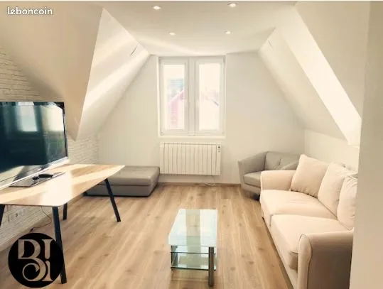 Superbe 3 pièces refait à neuf à Colmar 