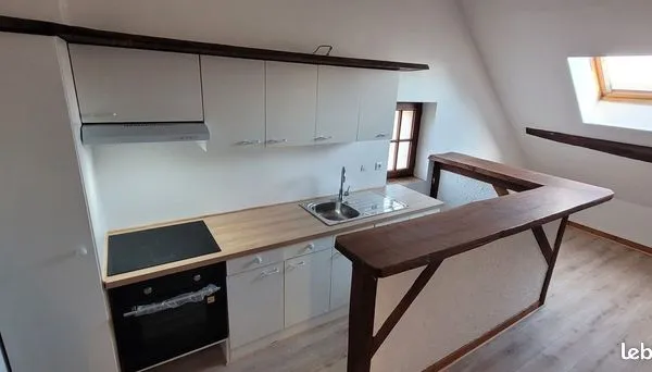 Appartement 1 pièce 60 m² 