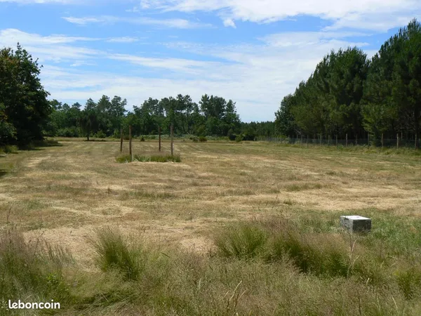 TERRAIN AGRICOLE / LOISIR 35 mn DE BORDEAUX 15 mn LACANAU OCEAN 