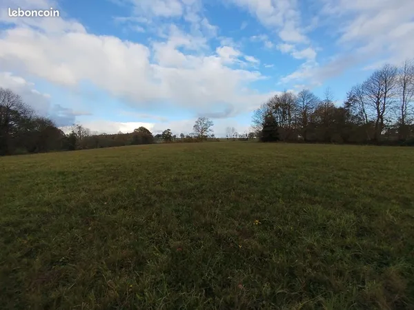 Terrain 18408 m² saint sauveur des landes 