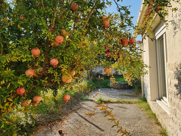 EXCLUSIVITE AVIGNON - LE PONTET - GRANDE MAISON DE 115 M² HAB SUR UN TERRAIN DE 560 M² - 2 GARAGES 
