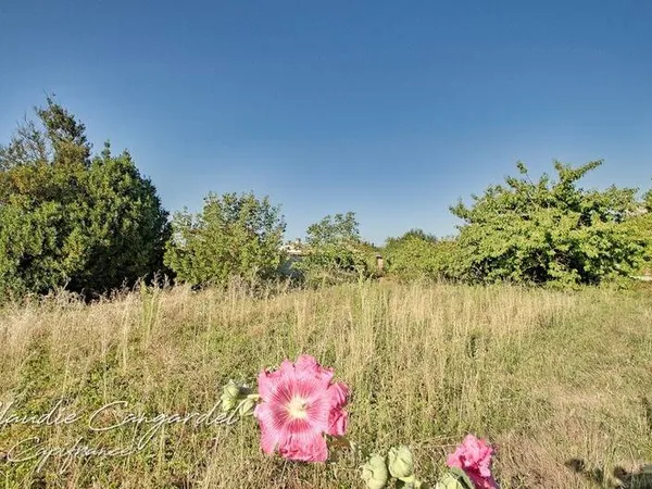 Propriété 