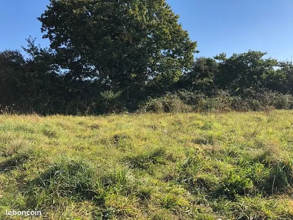 Terrain 553 m² 