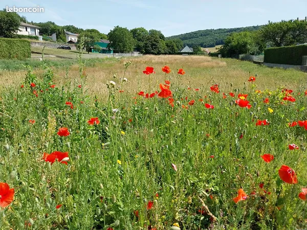 Terrain 746 m² TALLENAY 
