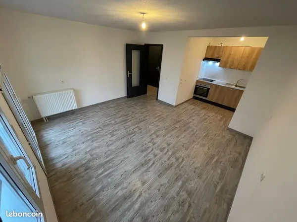 Appartement T2 48m² - Centre ville Mulhouse - Entièrement rénové 