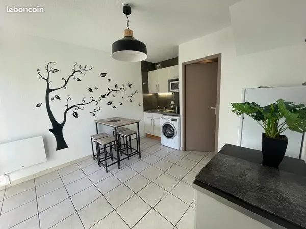 Duplex 3 pièces 45 m² 