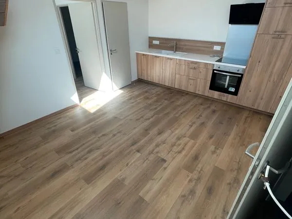Location Appartement T2 Vonnas 