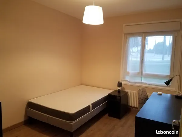 Chambre à louer dans colocation proche Facultés, CHU 
