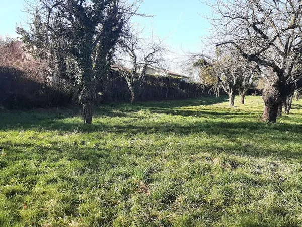 Propriété 