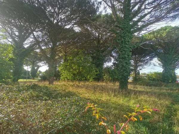 Terrain 1030 m² 