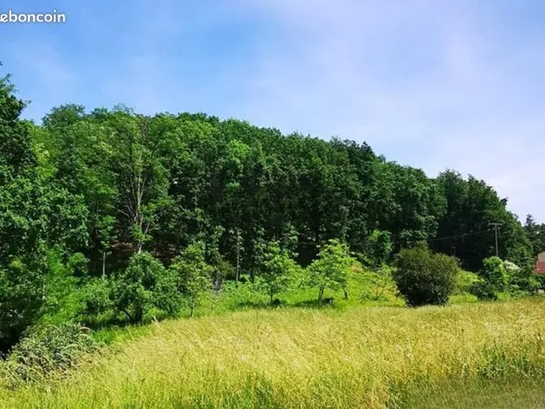Terrain 2028 m² 