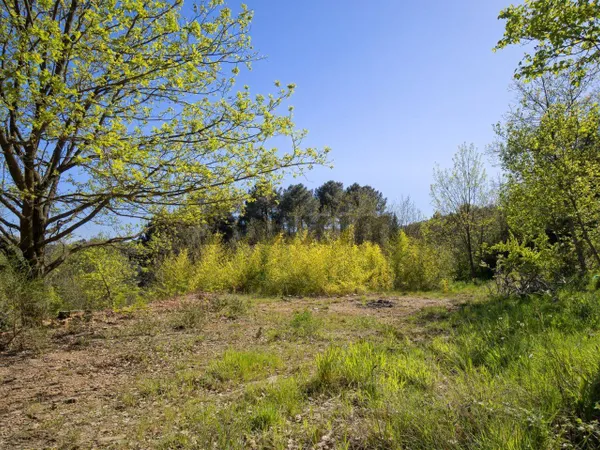 Propriété 
