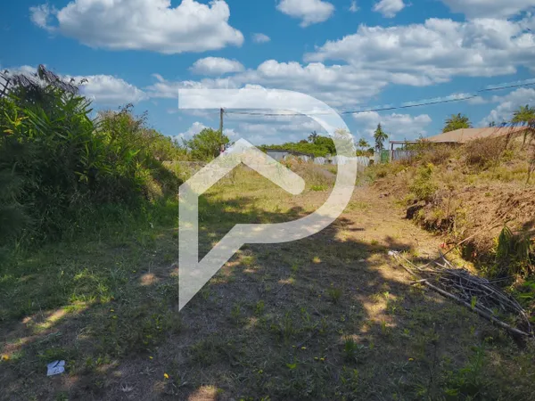 Beau terrain plat 