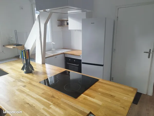 Appartement T3 renové integralement 