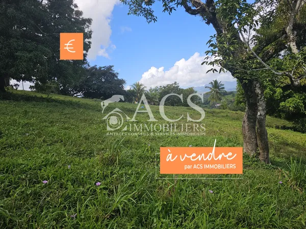 Terrain à bâtir de 1353 m2 dont 751 m2 constructibles - LE R 