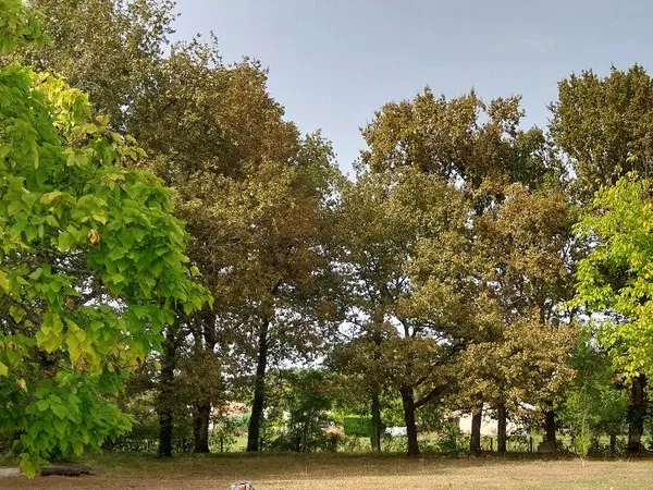 Terrain 460 m² 