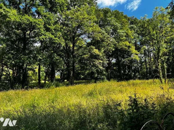 Terrain 970 m² 