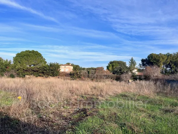 Vente terrain 
