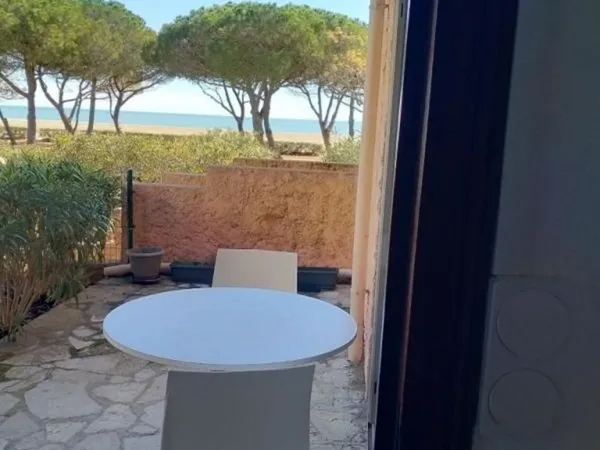 Studio de 26m2 à louer sur Argeles sur Mer 