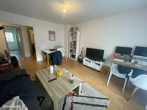 Appartement lumineux, 2 pièces, 50 m² meublé avec balcon et cave saine 