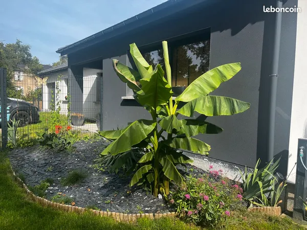 Maison Bergnicourt plain pied 136m2 