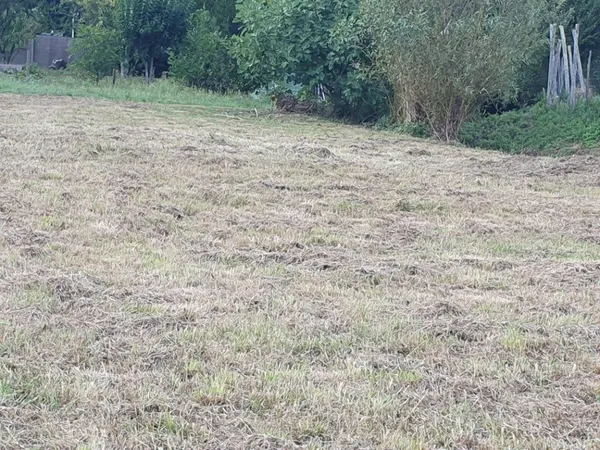 Terrain 1200 m² 