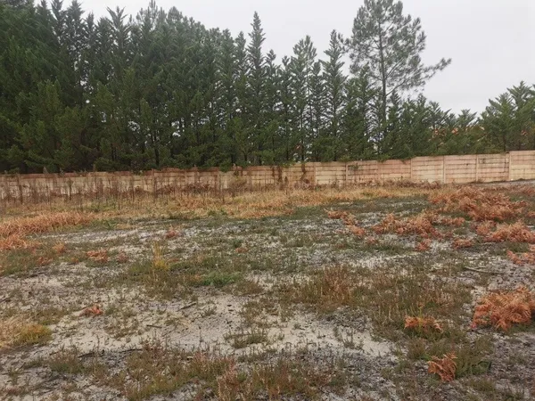 Terrain 724 m² 
