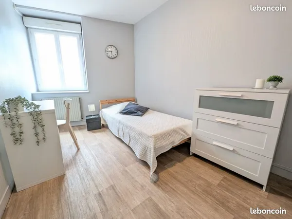 ✨DISPO : chb meublé 9,28m² vue sur la Loire en colocation sérieuse - proche de tout - parking 
