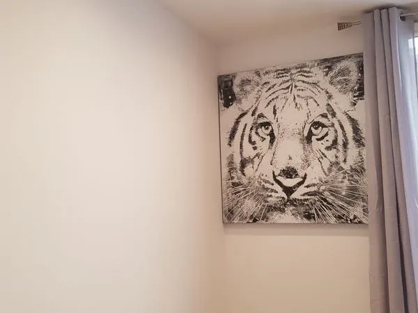 Beau studio 