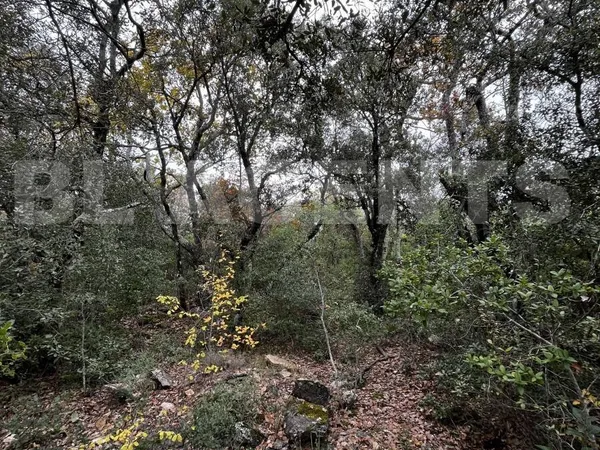 Terrain 33565 m² 