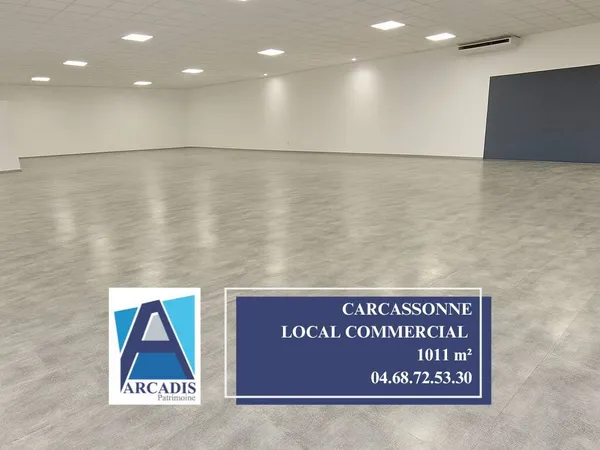 Local commercial 1011 m² 