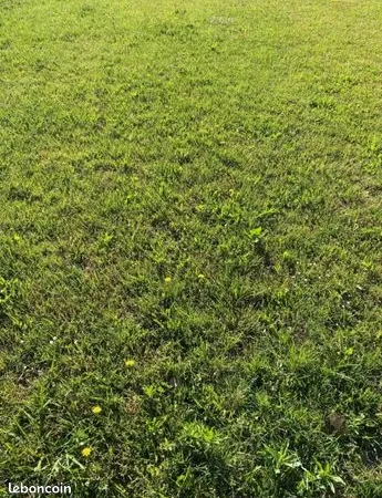 Terrain 760 m² 