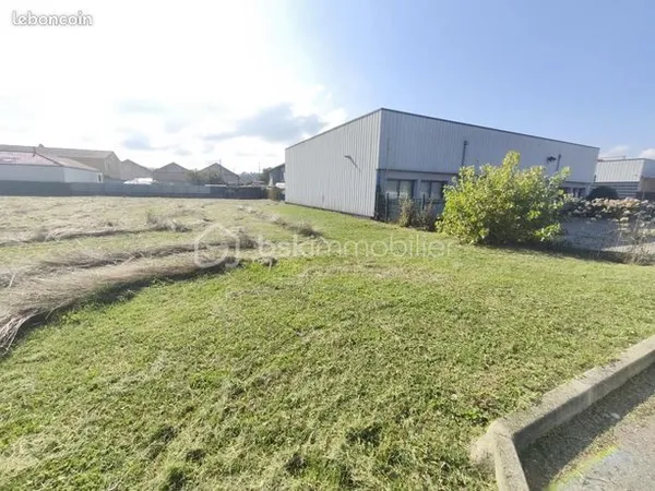 Local commercial 490 m² 