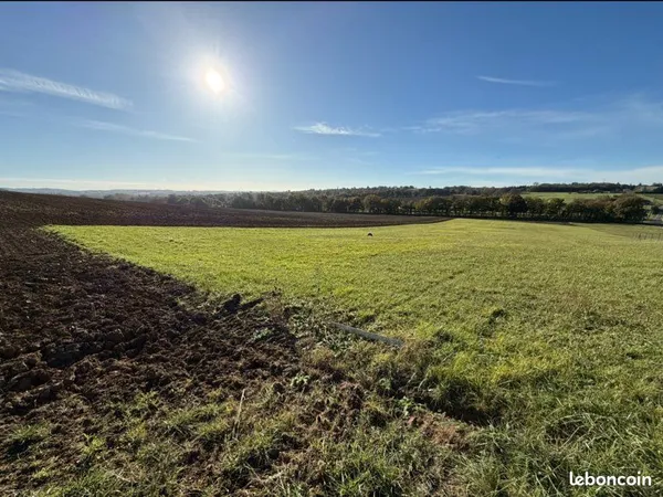Terrain diffus l'isle-jourdain (rare) 