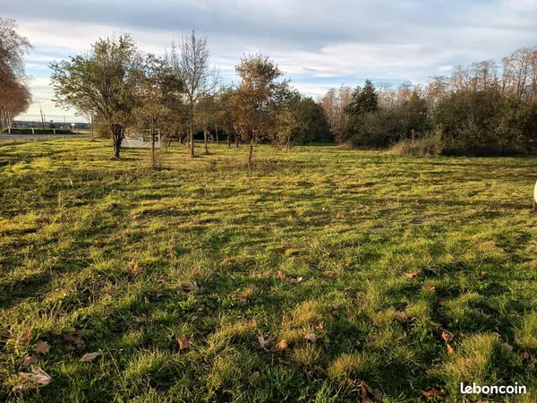 Terrain agricole 