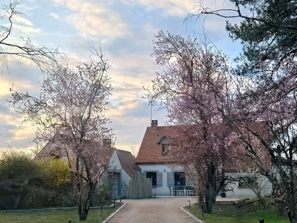 Maison 9 pièces 250 m² 
