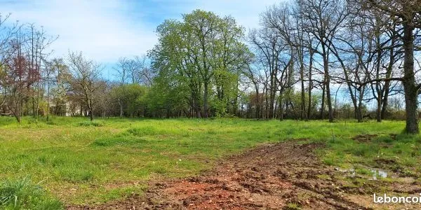 Terrain 1 200 m² Tournefeuille 