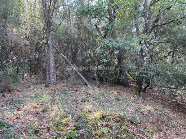 Terrain 4877 m² 