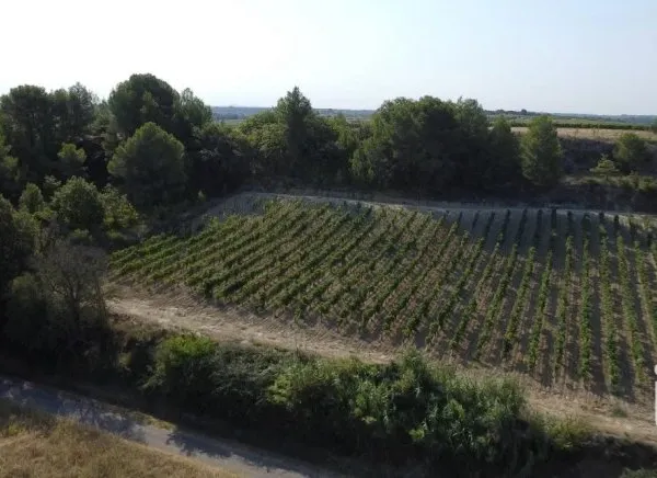 Terrain 6840 m²