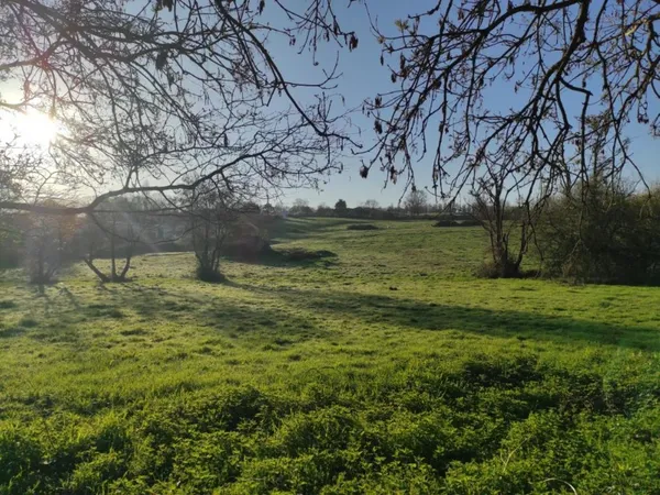 Terrain 475 m² 