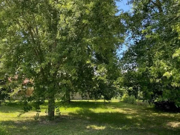 Terrain 520 m² Sanguinet 