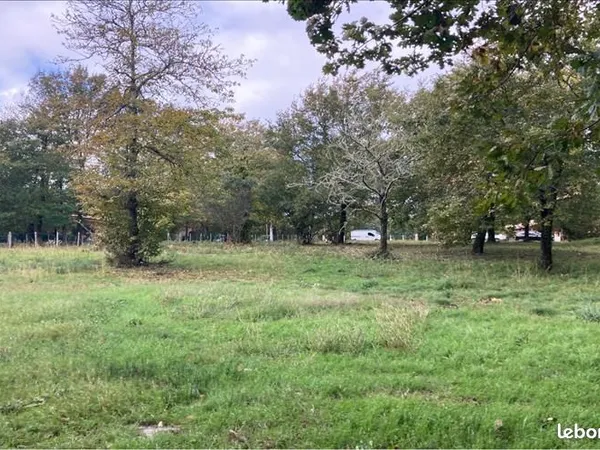 Terrain 1 623 m² Grayan Et L Hopital 
