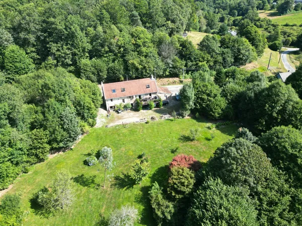 Une maison de campagne indépendante qui donne l'impression de vivre dans les arbres 