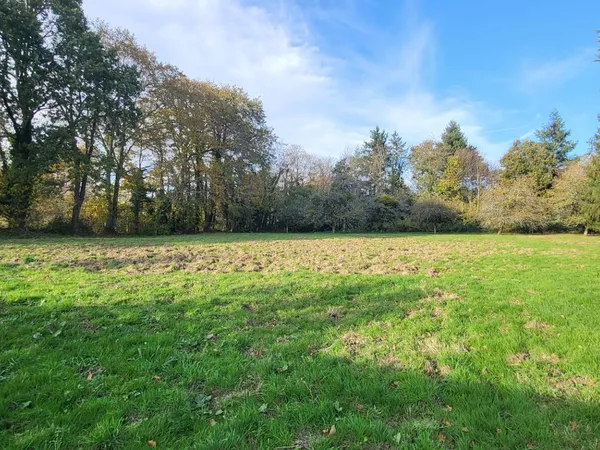 Terrain 5881 m2 