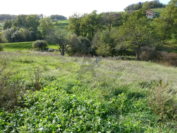 Propriété 