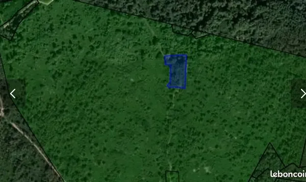 Terrain de loisirs 