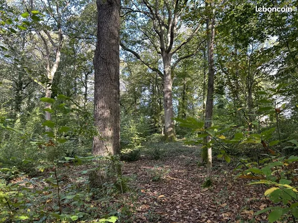 Terrain 117817 m² Hautefeuille 