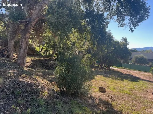 Terrain 1 200 m² Vidauban 