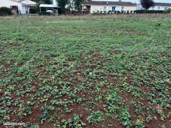 Terrain 746 m² Tesson 
